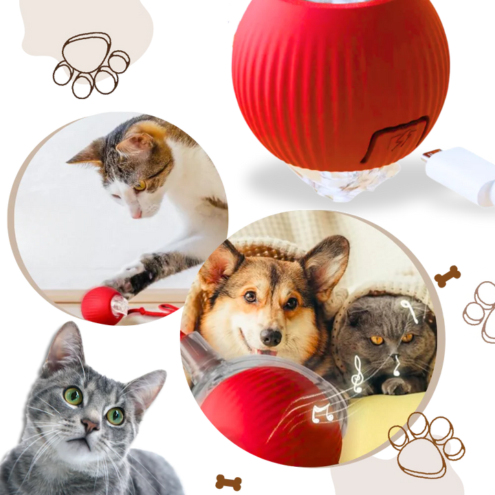Smart Interaktiv Kattboll Lek
