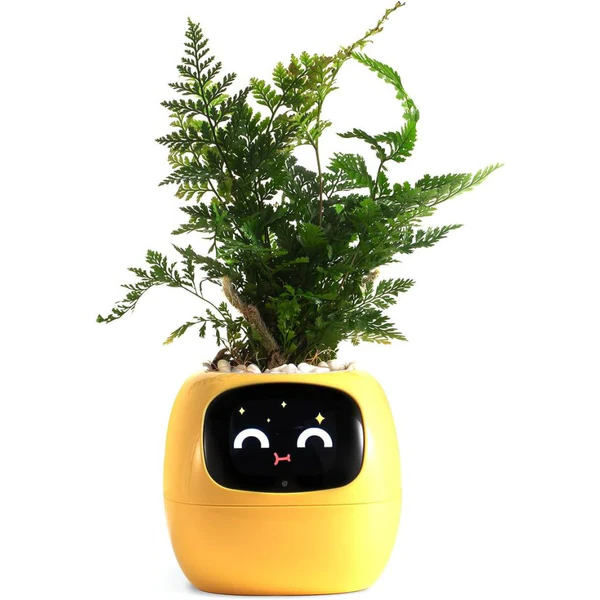 Smart Blomkruka Ivy - Innovativ Växtvård