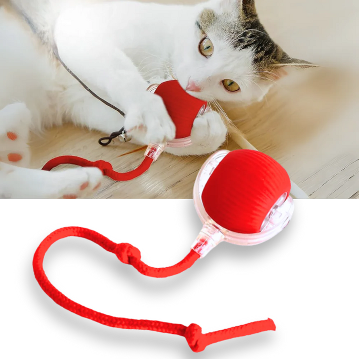 Smart Interaktiv Kattboll Lek
