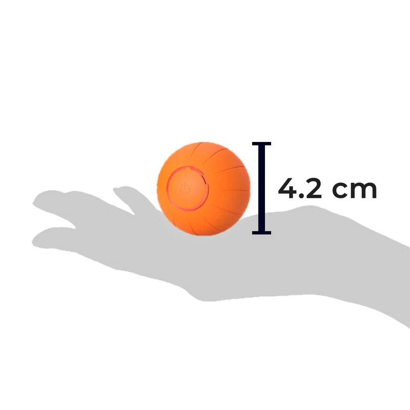 Husdjur Boll (Specialutgåva)