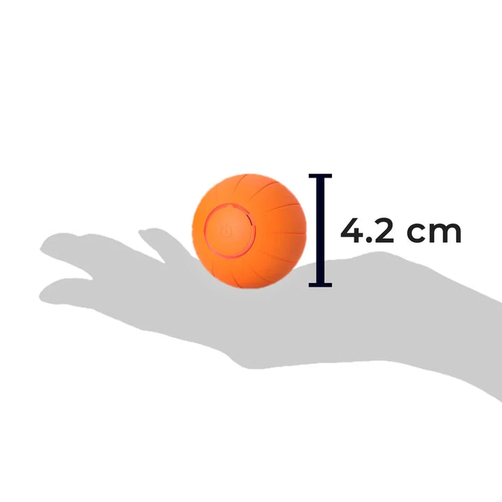 Husdjur Boll (Specialutgåva)